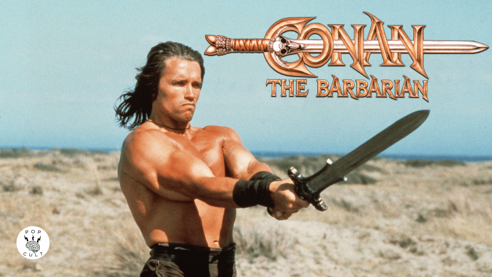 schwarzenegger wielding a sword as conan the barbarian