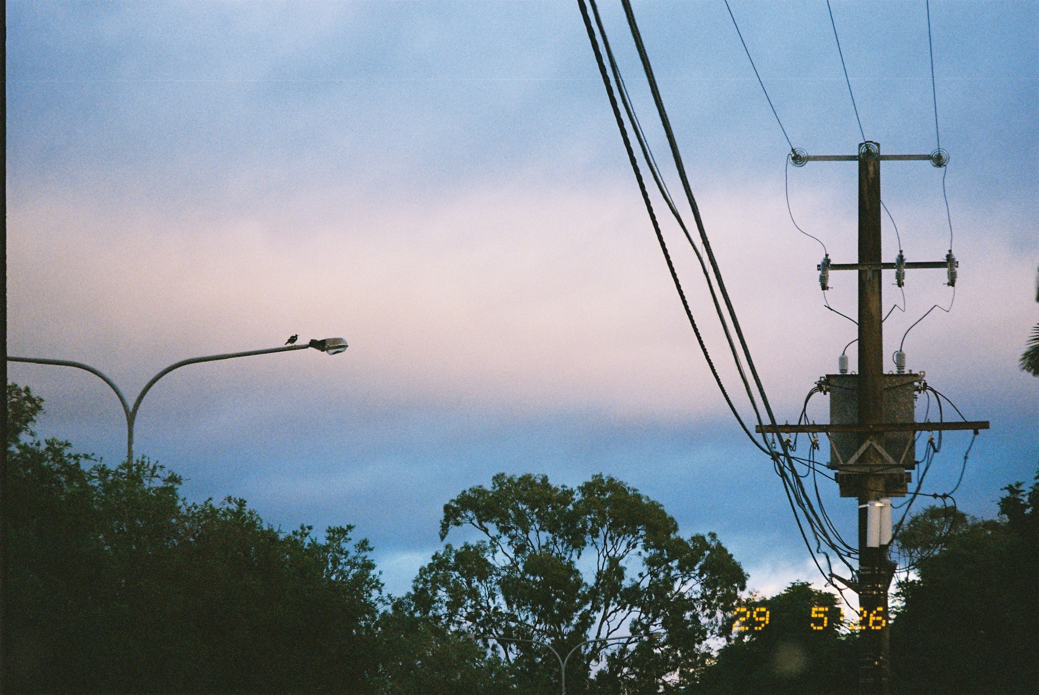 photo of a cloudy sky, powerlines, and a magpie